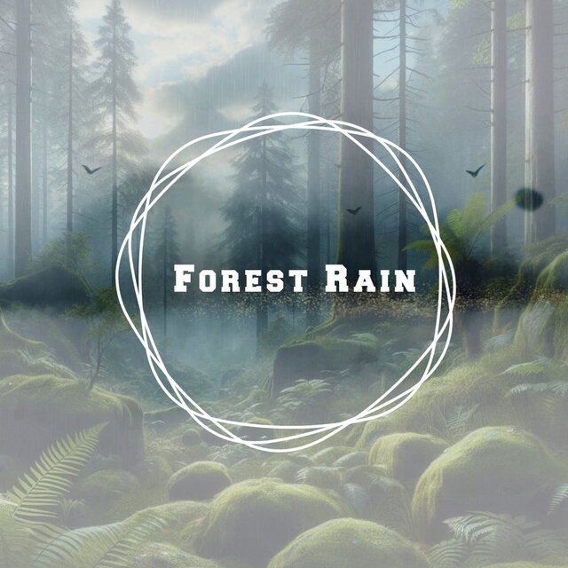 Forest Rain