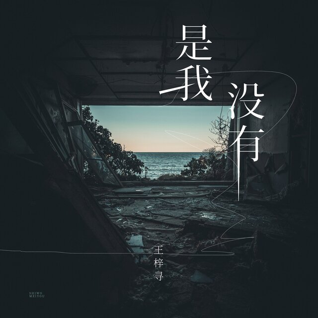是我没有