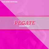 PEGATE