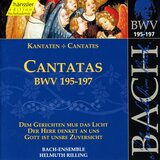 Dem Gerechten muss das Licht, BWV 195: Aria. Ruhmet Gottes Gut und Treu (Bass)