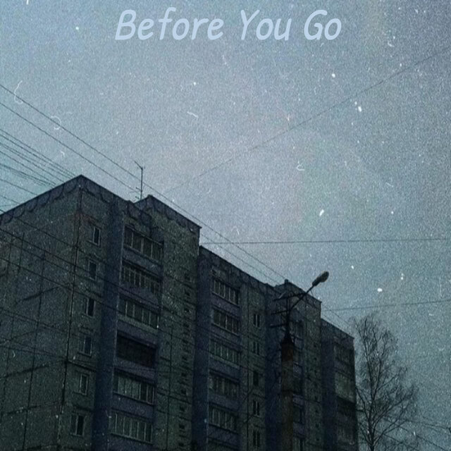 Before You Go