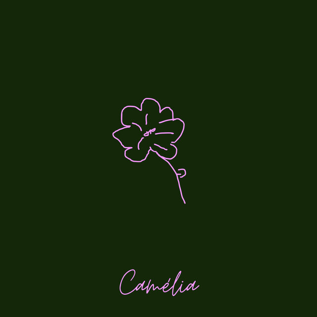 Camélia