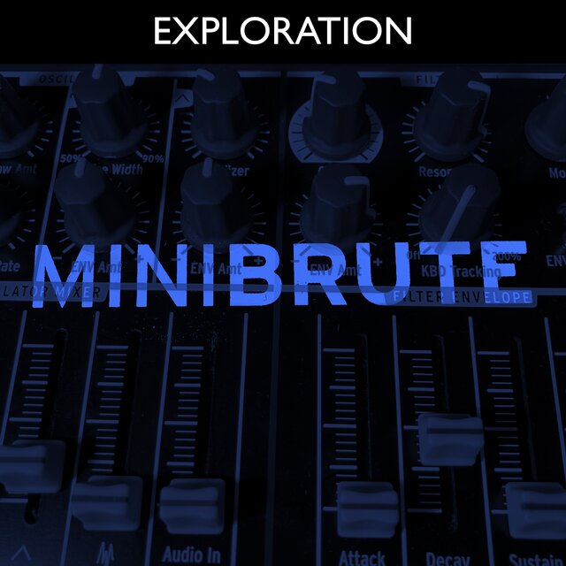 Exploration: MiniBrute