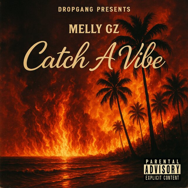 Catch A Vibe