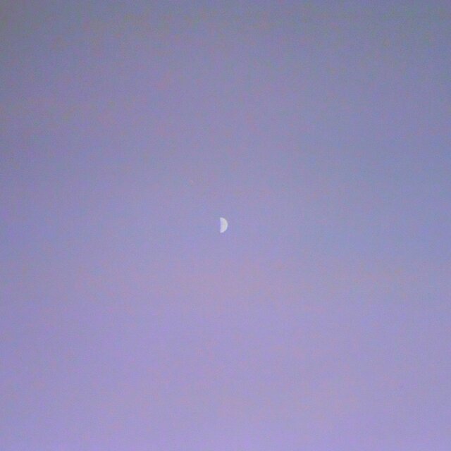 FROM LOSER TO LUNAR