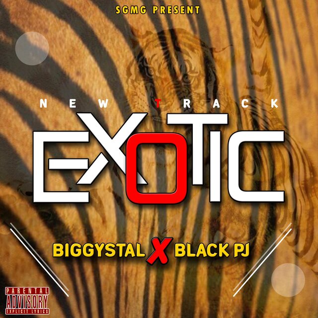 Exotic (feat. Black PJ)