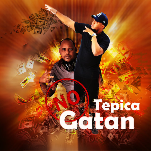 No Gatan