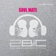 Cover art for album SOUL MATE by 2BIC