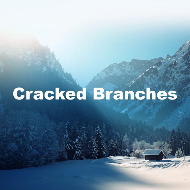 Cracked Branches