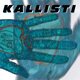 Cover art for album One with Everything by Kallisti