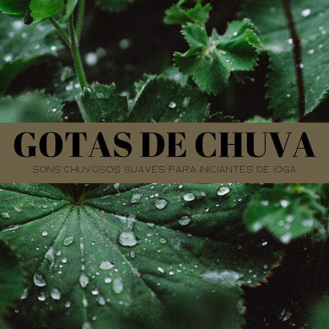 Gotas De Chuva: Sons Chuvosos Suaves Para Iniciantes De Ioga