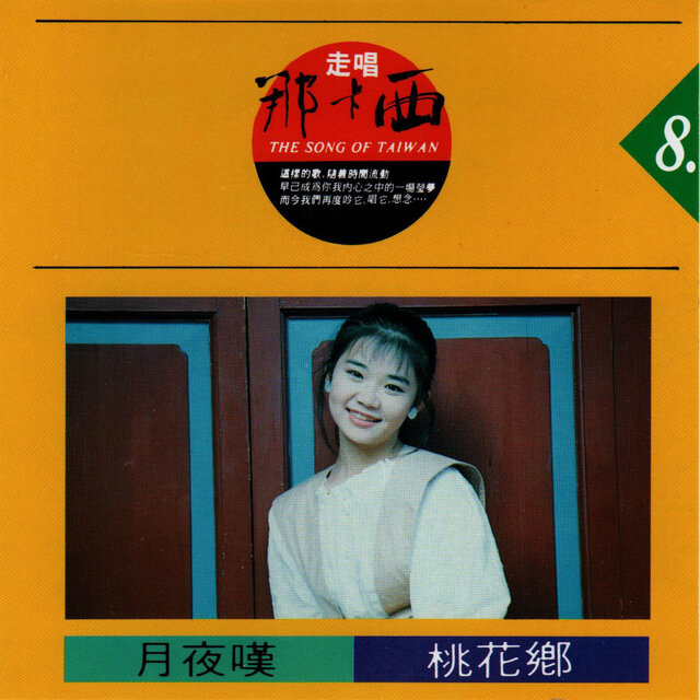 走唱那卡西 8