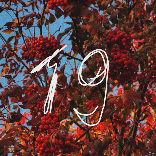 19