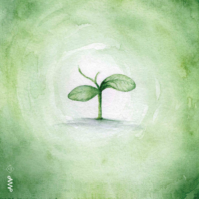 Dancing Seedlings