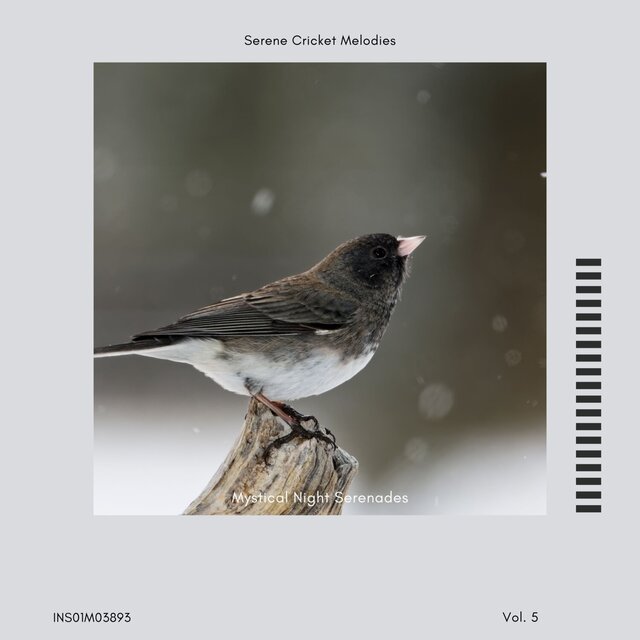 Mystical Night Serenades - Serene Cricket Melodies, Vol. 05