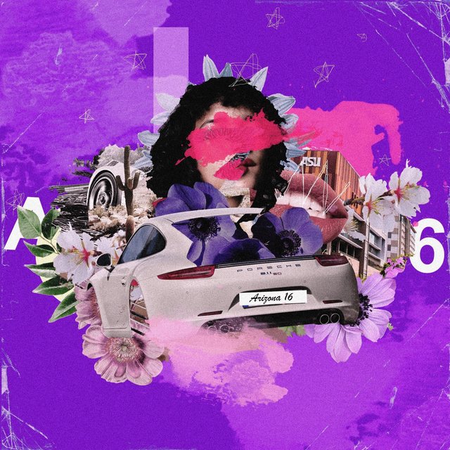 Arizona 16