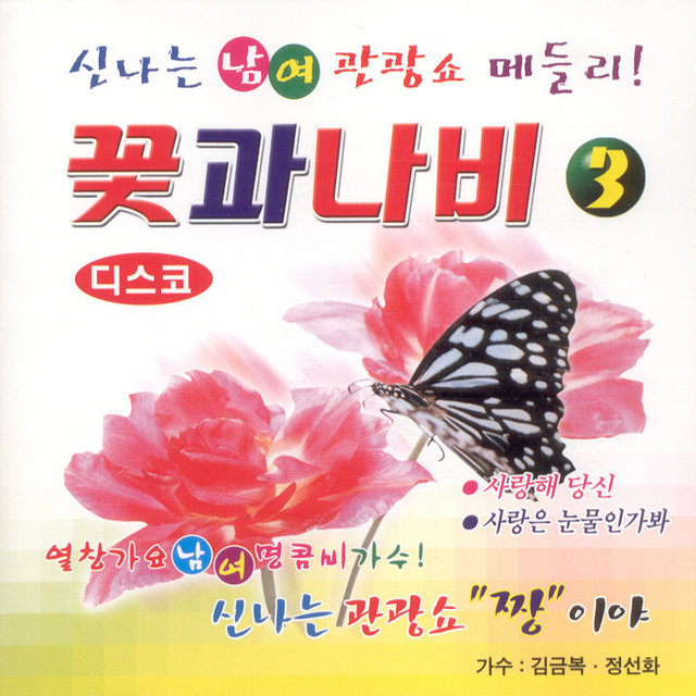 꽃과 나비 3집 - 디스코 꽃과 나비 3집 - 디스코