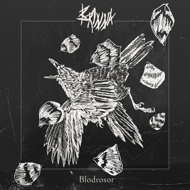 Cover art for album Blodrosor by Brinna