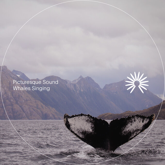 Whales Singing