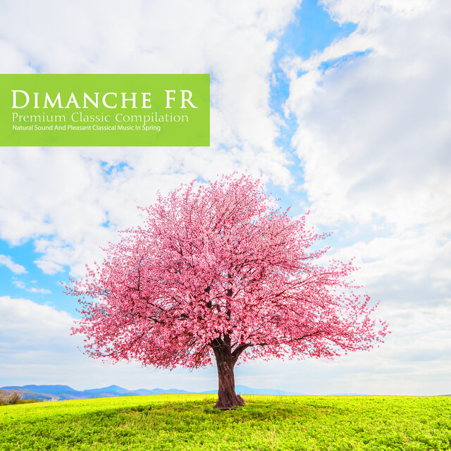 Natural Sounds and Pleasant Classical Music in Spring
