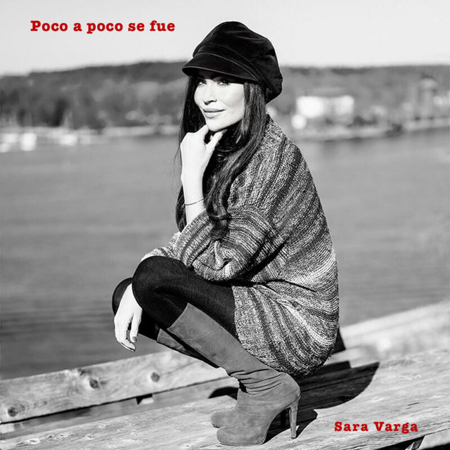 Poco a poco se fue
