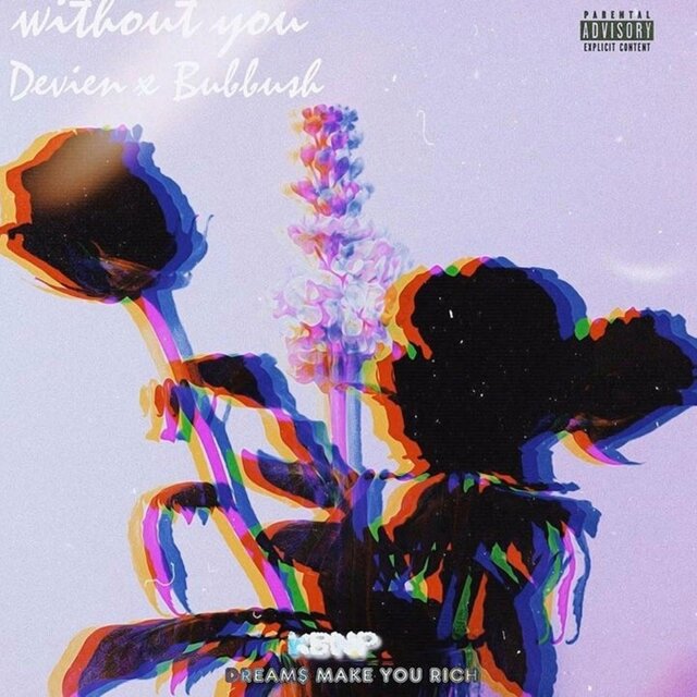 Without You (feat. Bubbush)
