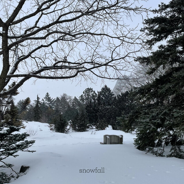 snowfall