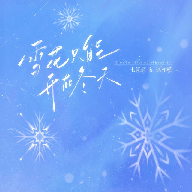 雪花只能開在冬天