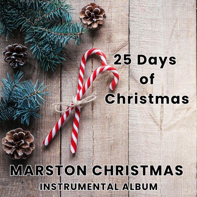 25 Days of Christmas