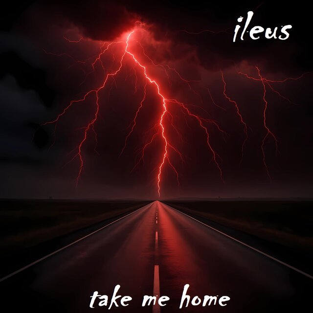 Take Me Home