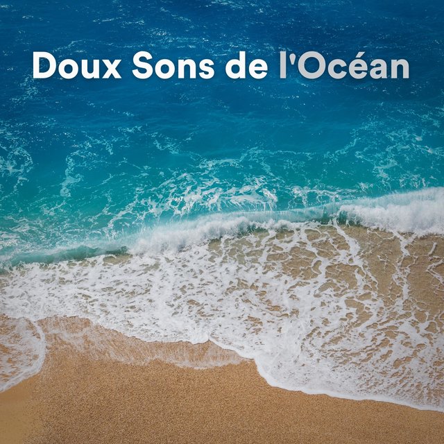 Doux Sons de l'Océan