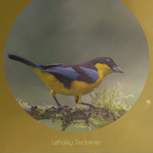 Lethality Disclaimer