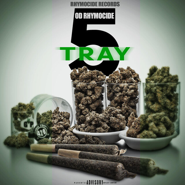 Tray 5