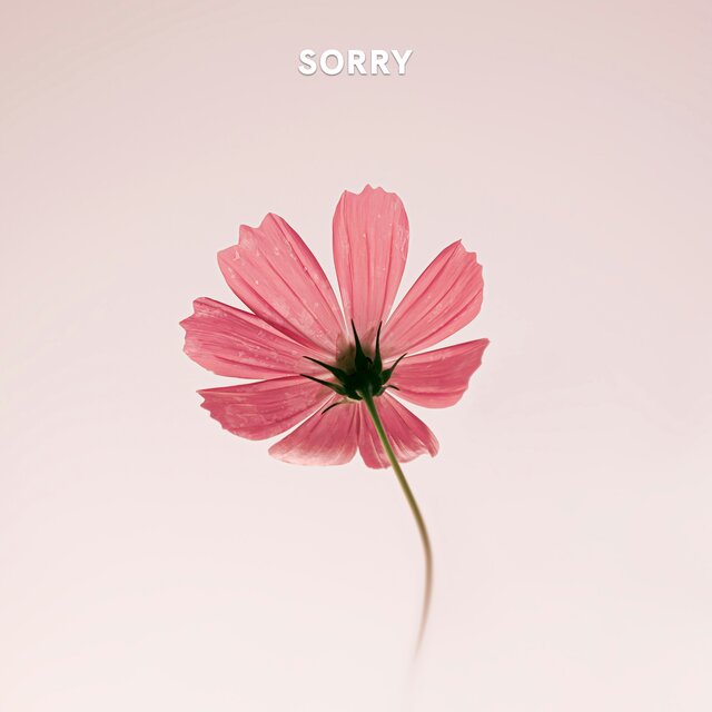 sorry