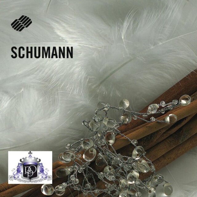 Robert Schumann: Works for Solo Piano