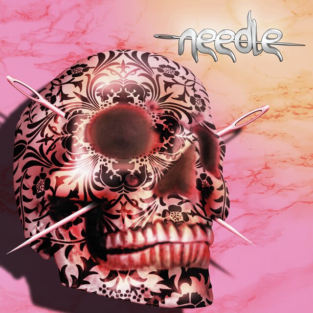 Needle