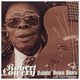 Cover art for album Rainin' Down Blues by Robert Lowery