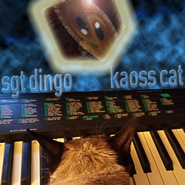Kaoss Cat