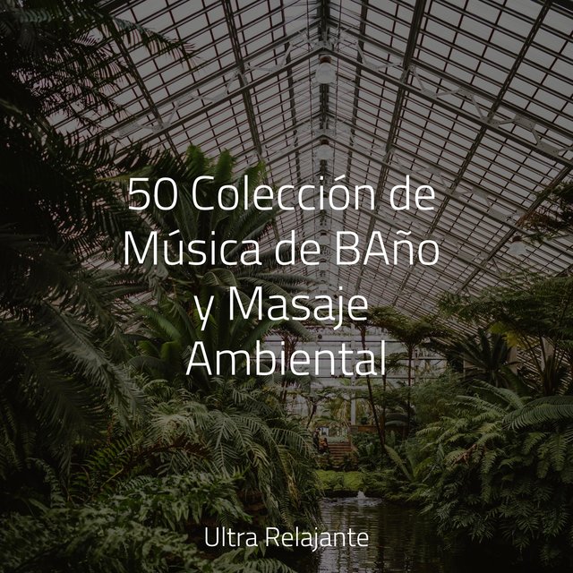 50 Colección de Música de BAño y Masaje Ambiental
