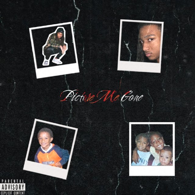 Picture Me Gone