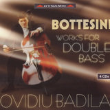 Double Bass Concerto No. 2 in B Minor: I. Allegro moderato
