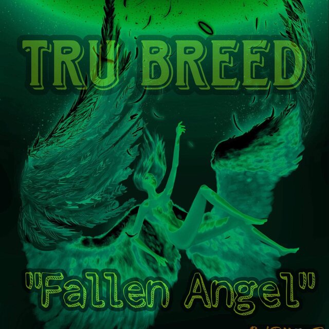 Fallen Angel