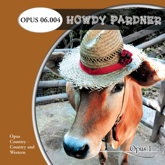 Howdy Pardner