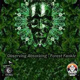  Forest Fankle 