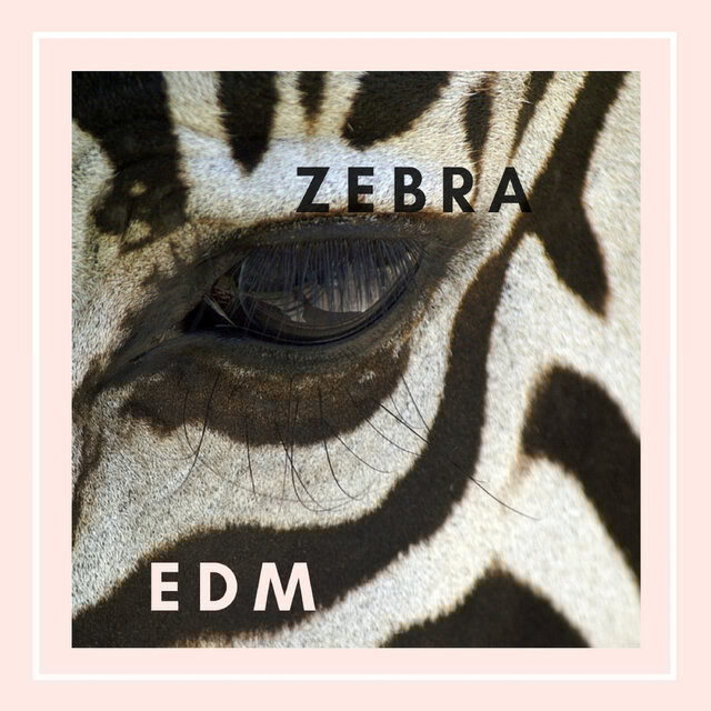 ZEBRA EDM