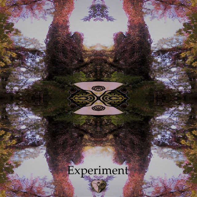 Experiment (Live)