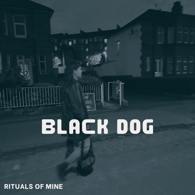 Black Dog