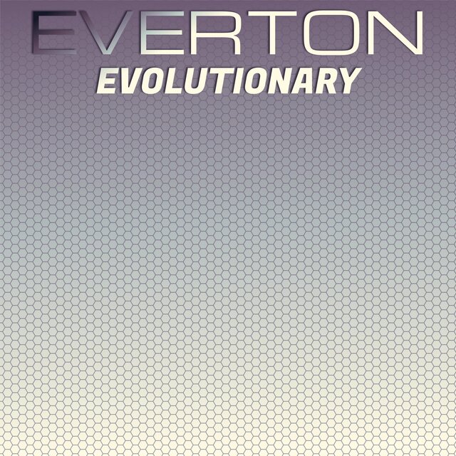 Everton Evolutionary