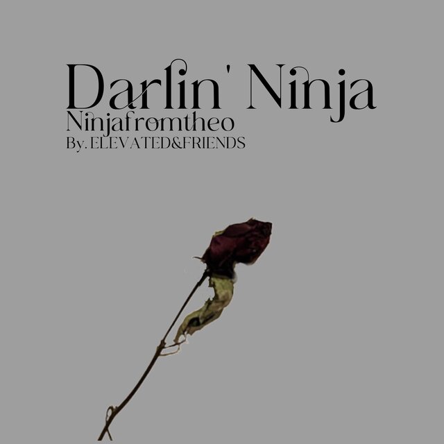 Darlin’ Ninja