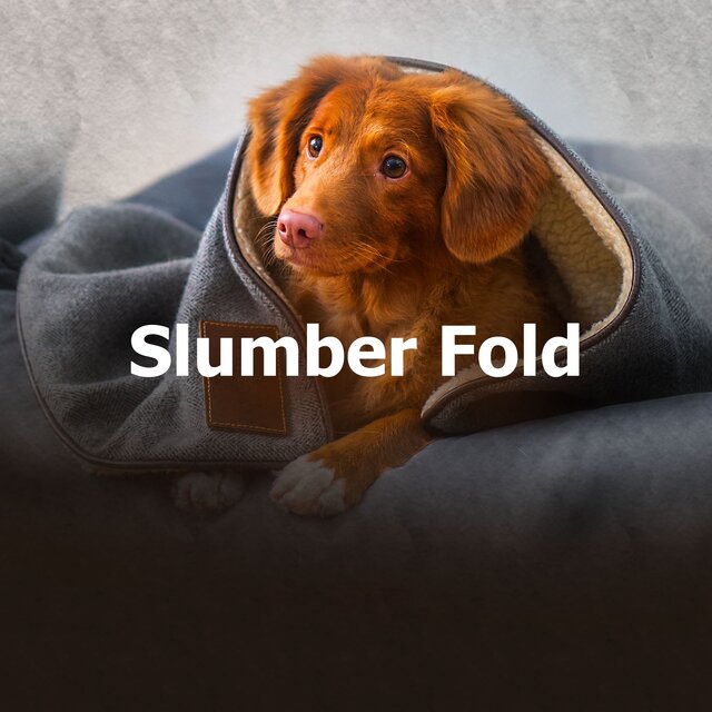 Slumber Fold